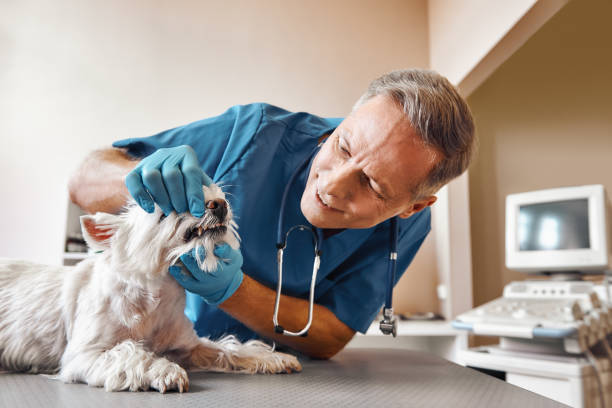 Best 24-Hour Emergency Dentist in Port Aransas, TX